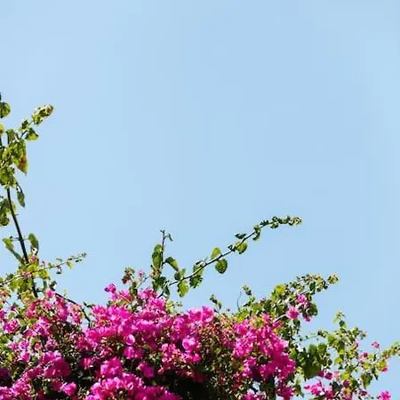 Marylee's Old Town #1 Adults Only Rethymno